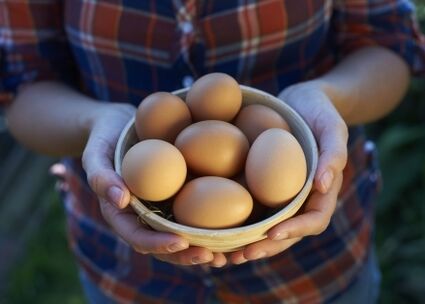 beneficios de los huevos de gallina